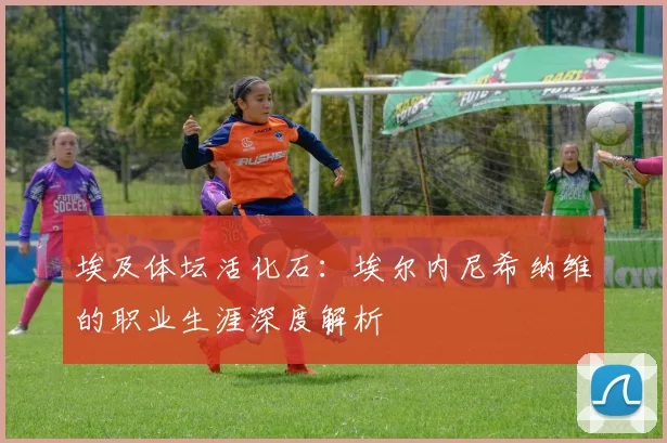 埃及体坛活化石：埃尔内尼希纳维的职业生涯深度解析
