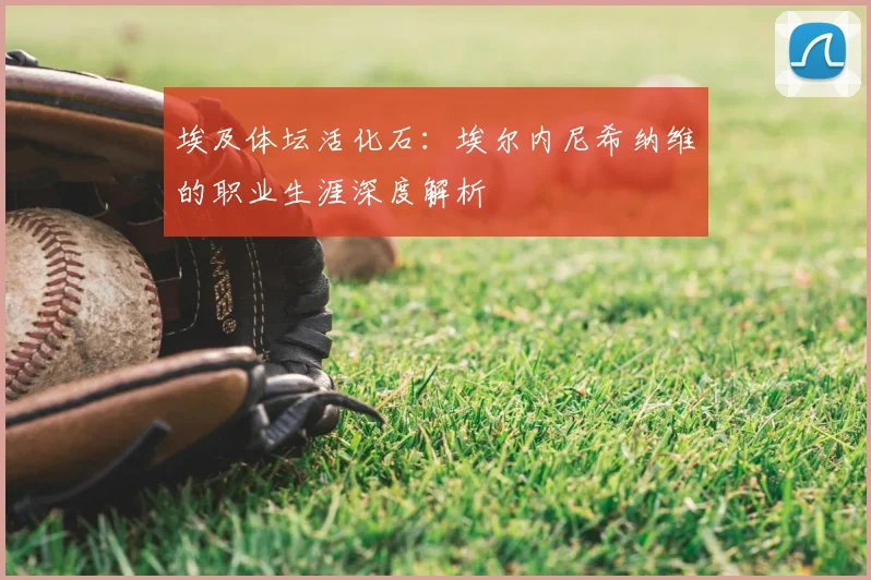埃及体坛活化石:埃尔内尼希纳维的职业生涯深度解析